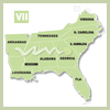 Region-7-100