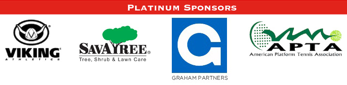 2017 All Platinum Logos