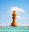 Paddle Chess