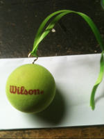 Ornament