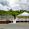 Dorset Field Club