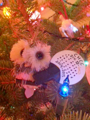 wise owl ornament